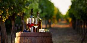 23% Pobyt s degustací a neomezenou konzumací vína ve…