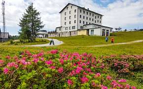0% Rakouské Alpy: Léto v Hotelu Berghof Tauplitzalm …